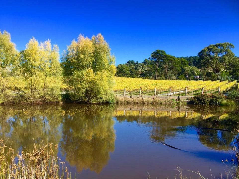 Gisborne Peak Winery Short Term Stays Exterior foto