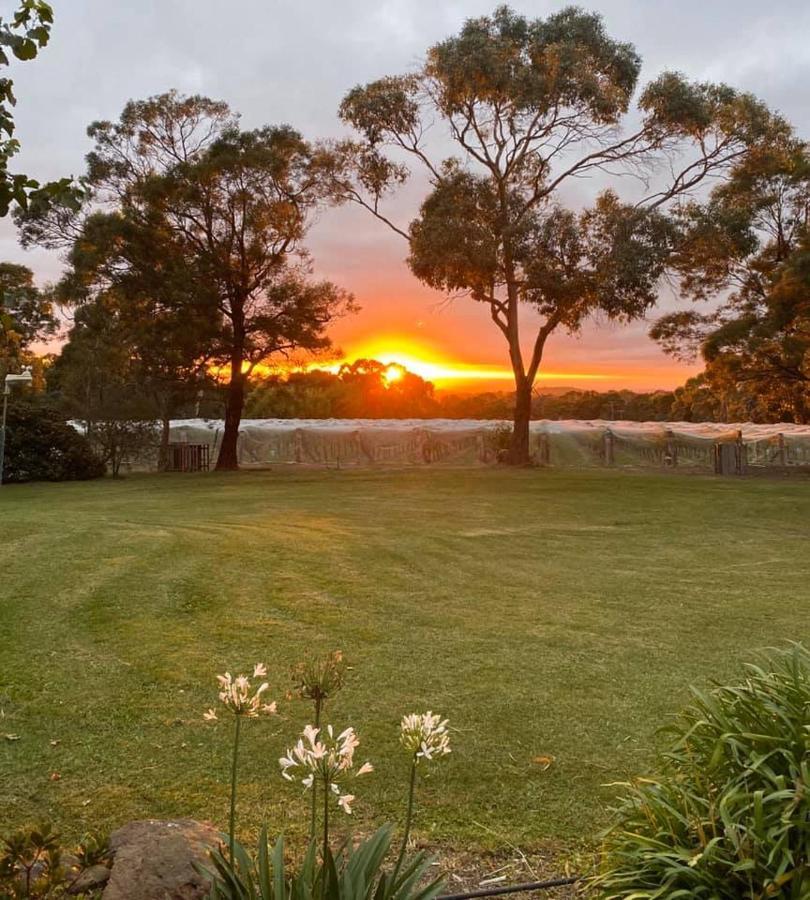 Gisborne Peak Winery Short Term Stays Exterior foto