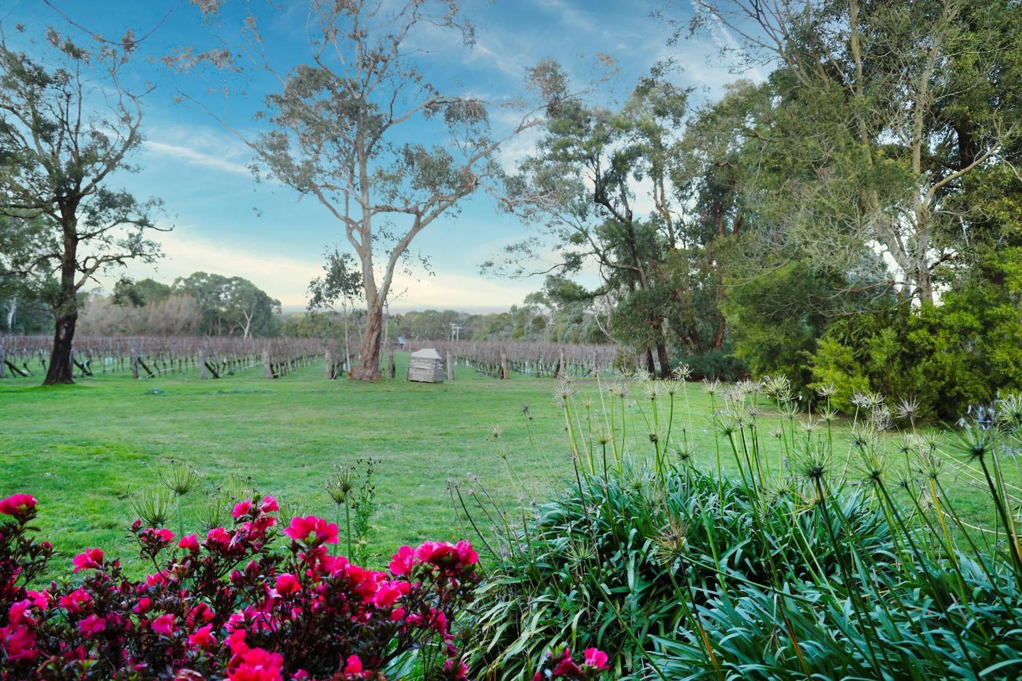 Gisborne Peak Winery Short Term Stays Exterior foto