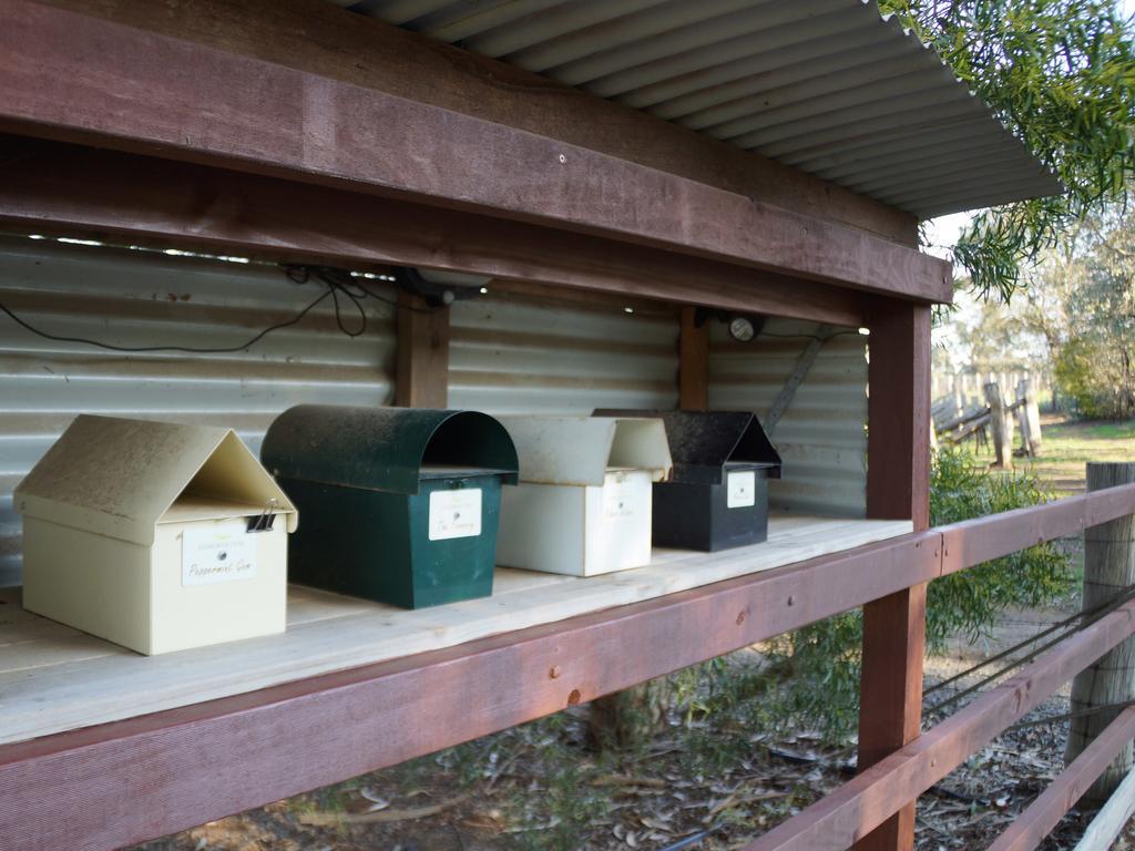 Gisborne Peak Winery Short Term Stays Cameră foto